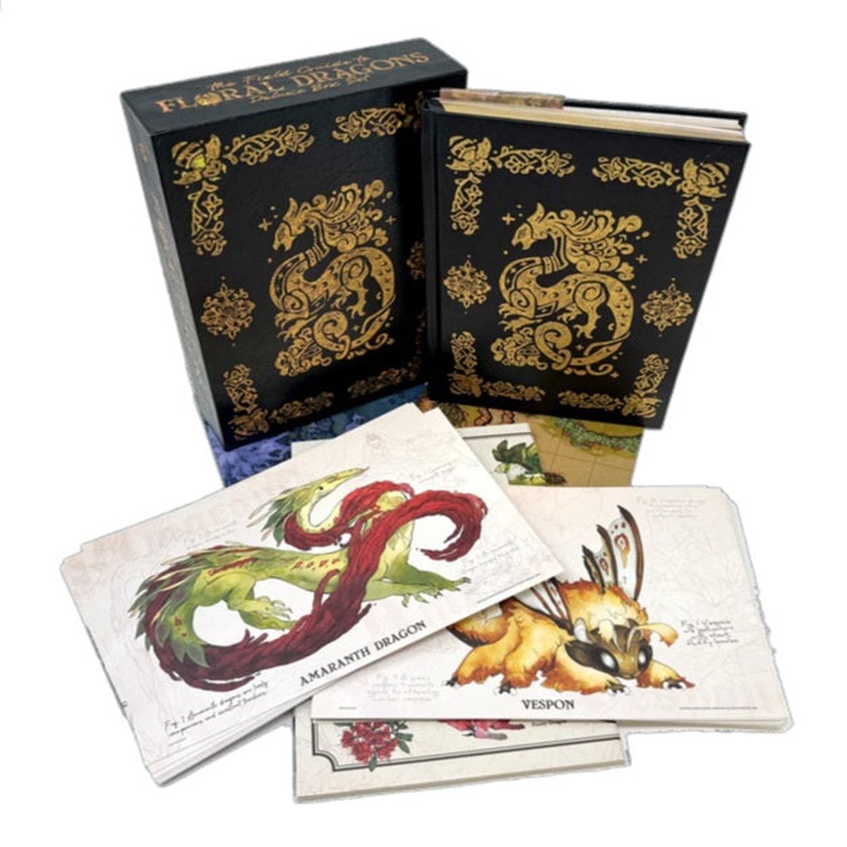 The Field Guide to Floral Dragons (5E D&D): Deluxe Box Set